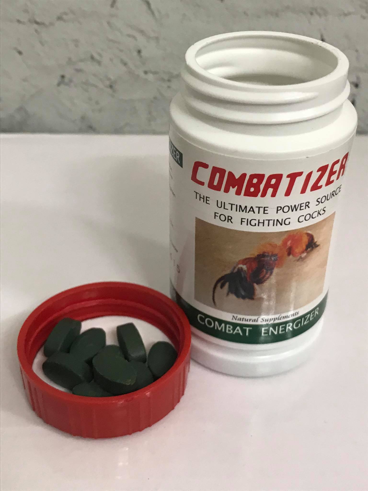 [HCM]Combatizer Nuôi 1 Tuần Cuối Trước Khi Đá