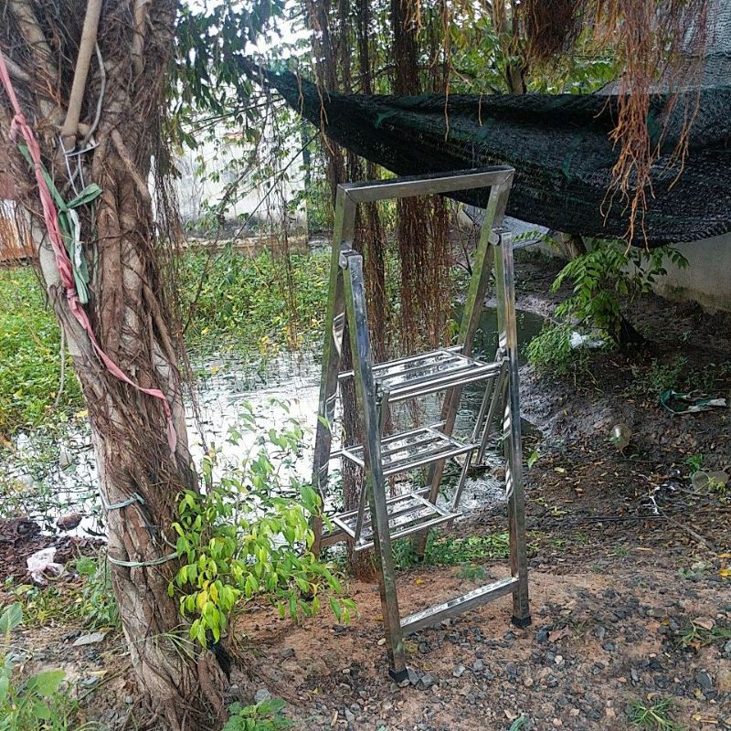 Thang xếp Inox Xịn Sò - Đủ Bậc
