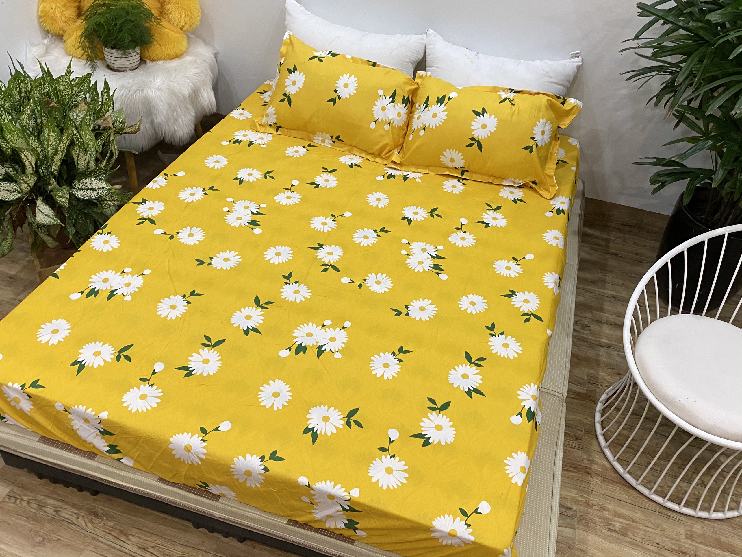Bộ Ga Gối 3 Món ( Gồm 1 Ga Bo Chun + 2 Vỏ Gối) Mã CH213