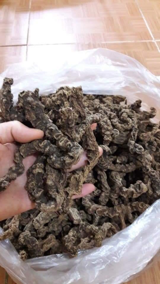 Tam Thất Hoang 100gr