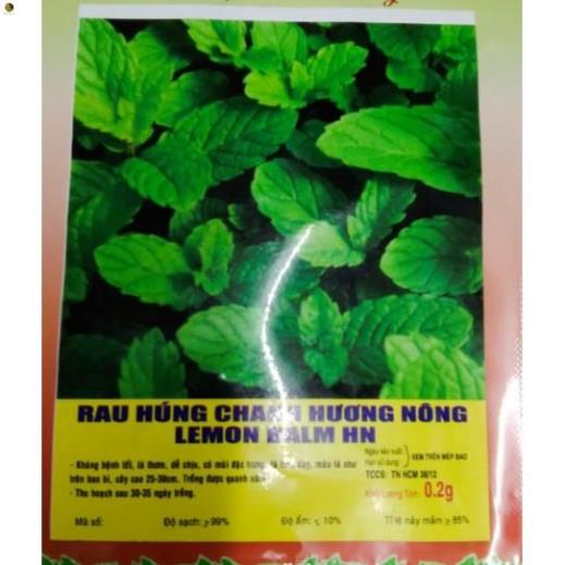 Hạt cây Húng chanh - gói 0,2 gram