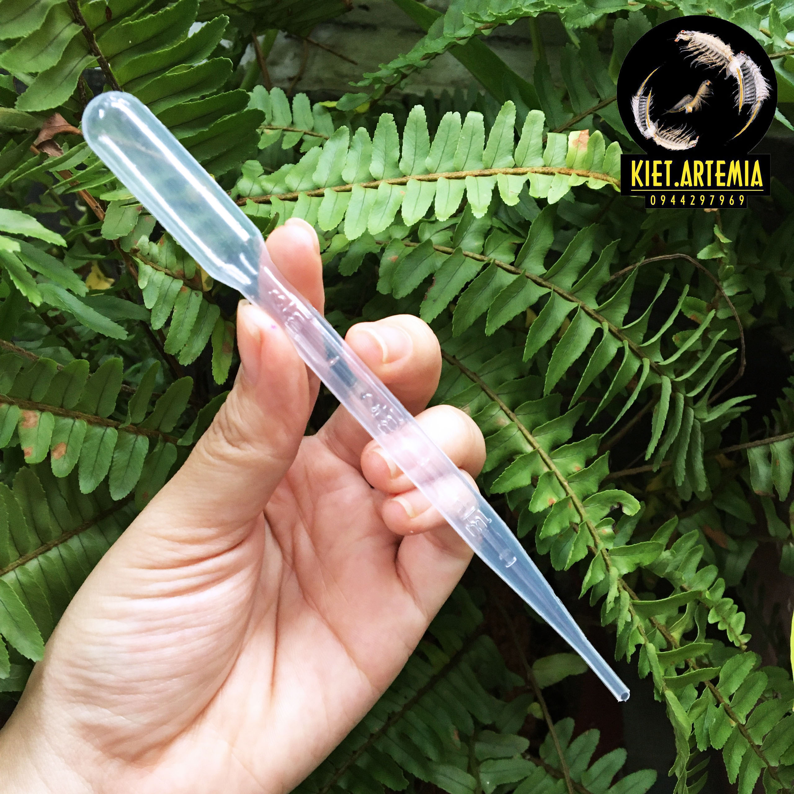 Bộ Ấp Artemia- Dụng Cụ Ấp Artemia