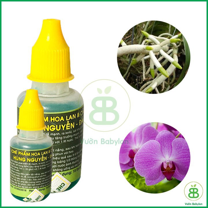 Chế Phẩm Hoa Lan Hùng Nguyễn 20ml