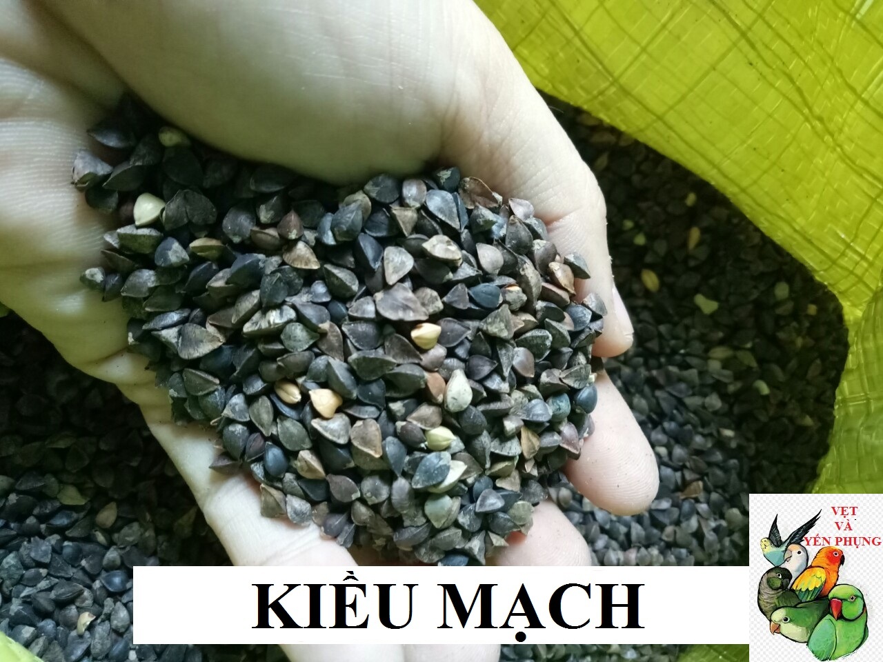 100G BA KHÍA (KIỀU MẠCH) CHO CHIM,VẸT,HAMSTER VÀ THÚ CƯNG NHỎ.