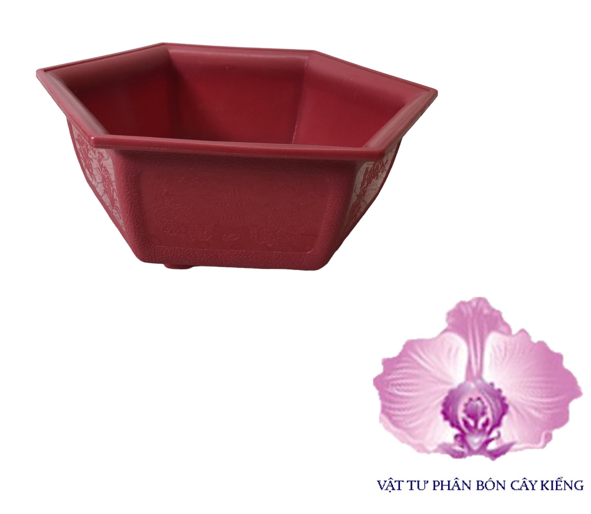Chậu Lục giác Bonsai Mini - #019D# 21x8cm