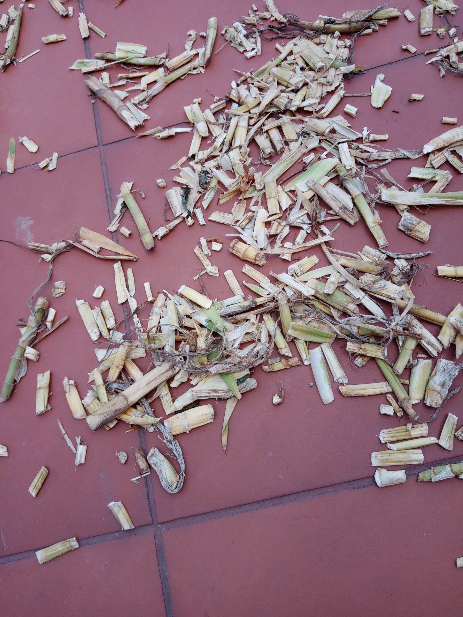 Thân lá xạ can khô 01kg