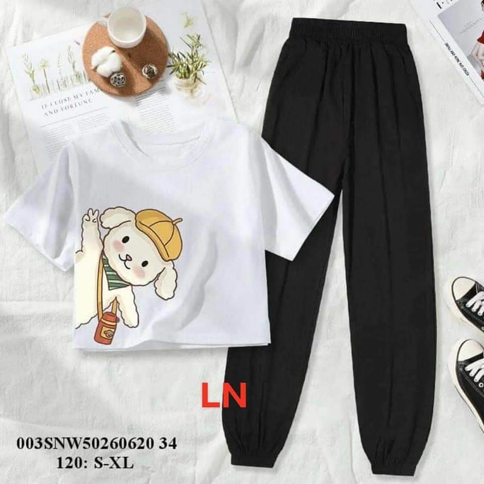 Sét bộ áo hình con cún đội mũ và pikchu chữ tàu kèm quần bo gấu siêu cute