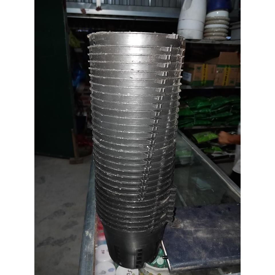 Combo 10 Chậu Nhựa Trồng Lan Phi 14