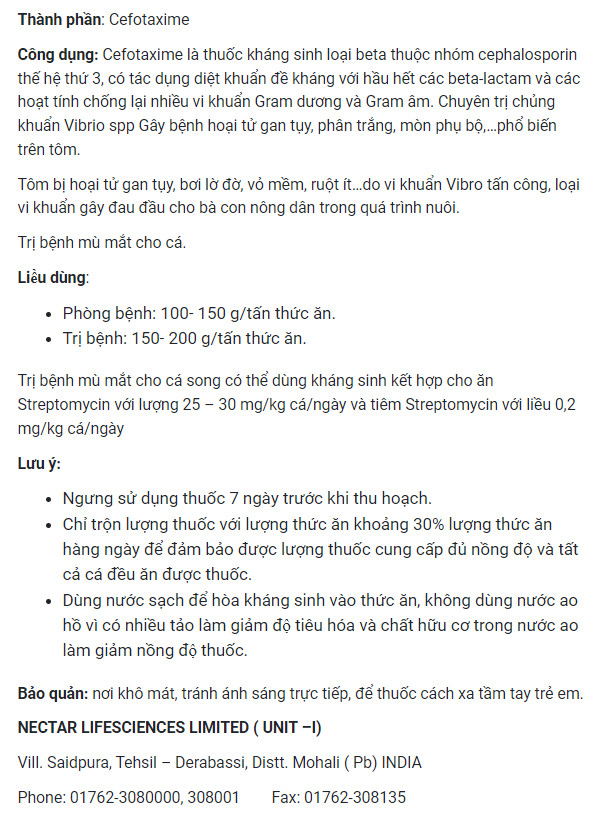 [10KG] Kháng sinh CEFOTAXIME SODIUM 98% - CONCEPT (Nhập khẩu Ấn Độ, nguyên đai, nguyên kiện)