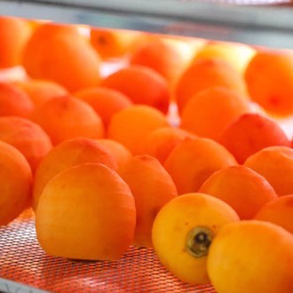 Hồng treo gió Cầu Đất - Đà Lạt