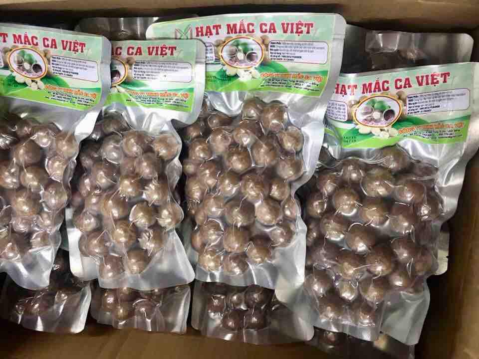 Hạt Macca (Macadamia) Đăk Lăk