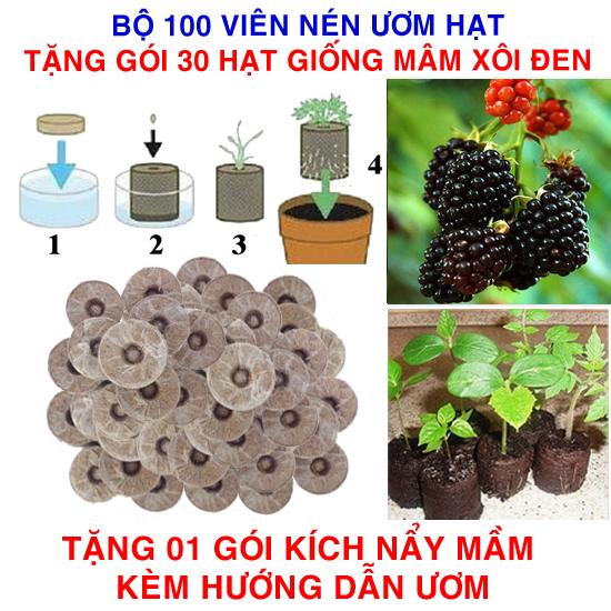 Bộ 100 viên nén ươm hạt (tặng 30 Hạt giống Mâm xôi đen + Kích thích nẩy mầm, Hướng dẫn)