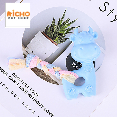 Đồ chơi cho chó mèo gặm / Đồ chơi gặm cho chó mèo