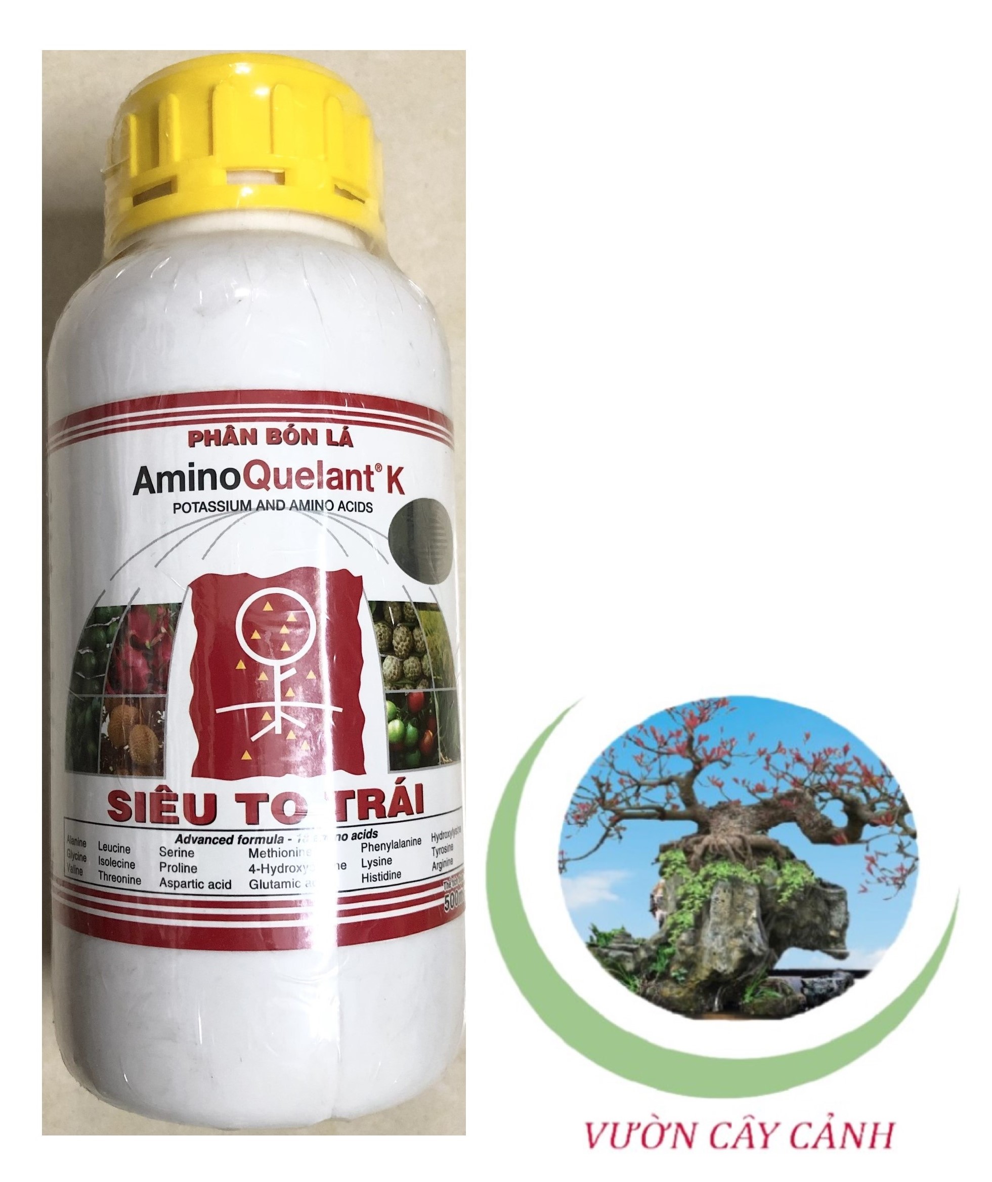 Phân bón amino quelant - k potassium & amino acids - phân bón lá siêu to trái - #071a# 500ml
