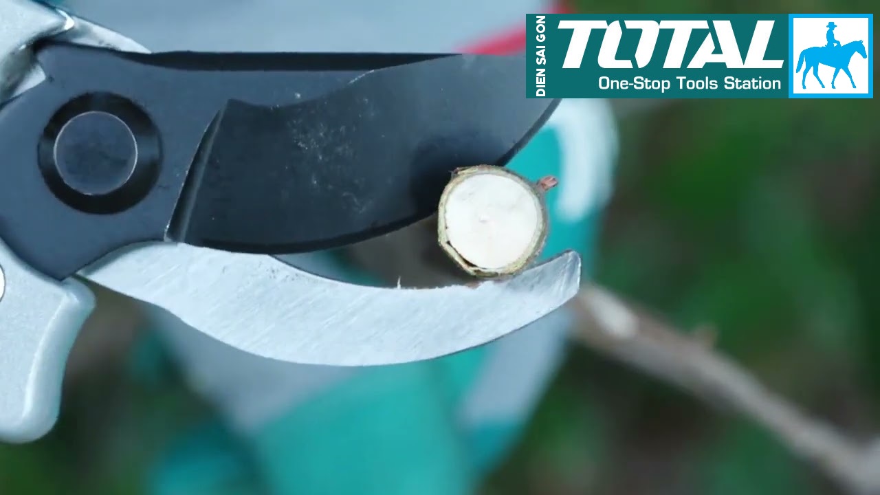 Kéo cắt tỉa cành 200mm Pruning Shears Total INGCO THT0109 HPS0109