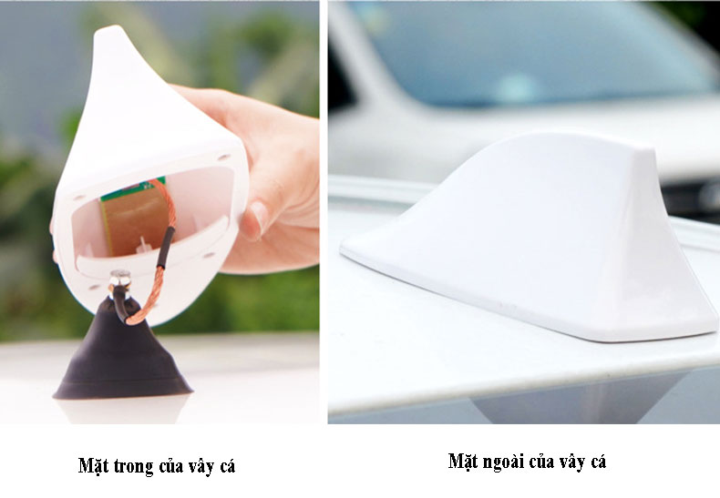 Ăng ten vây cá gắn trên ô tô