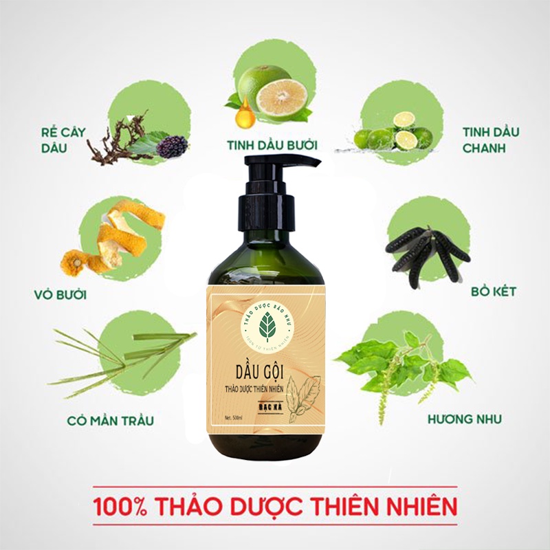 Dầu Gội Thảo Dược 100% Organic Bạc Hà The Mát