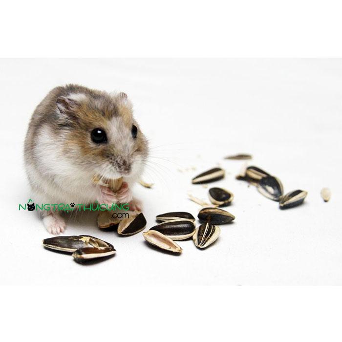 Thức Ăn Cho Hamster - Hạt Hướng Dương (100gr) - [Nông Trại Thú Cưng]