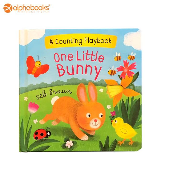Baby Book: One Little Bunny