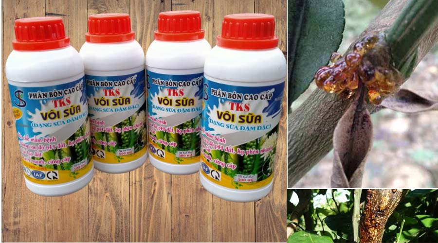VÔI SỮA - Hạ Phèn, Ổn Định pH Đất, Diệt Mầm Bệnh- Chai 500ml