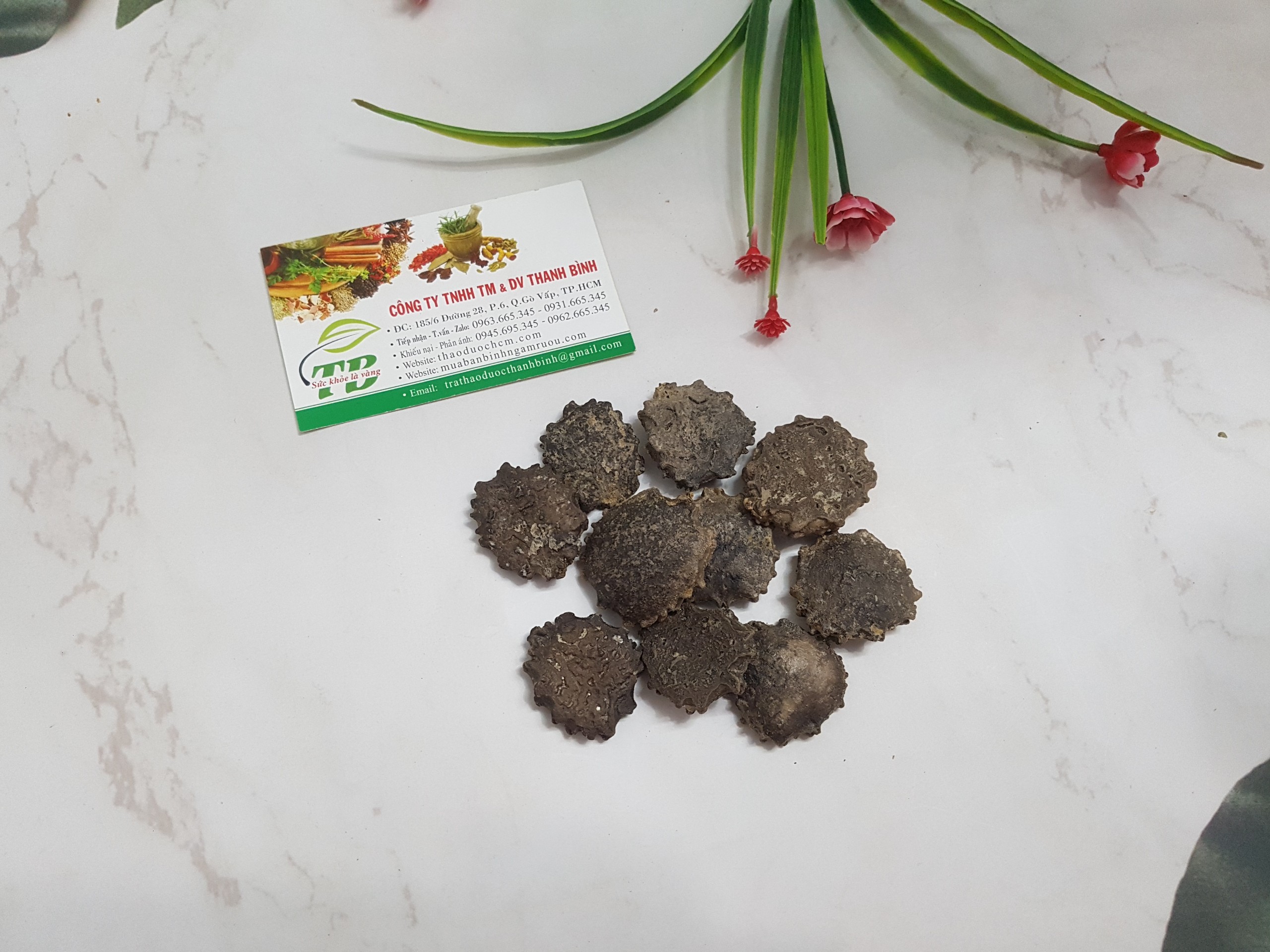 Hạt Gấc 100G - Hàng Công Ty Dược Liệu Thanh Bình