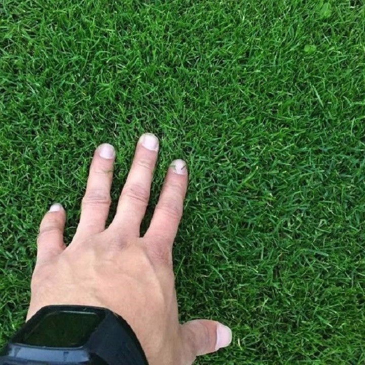 Hạt Cỏ Trồng Thảm Bermuda - Gói 10 Gram