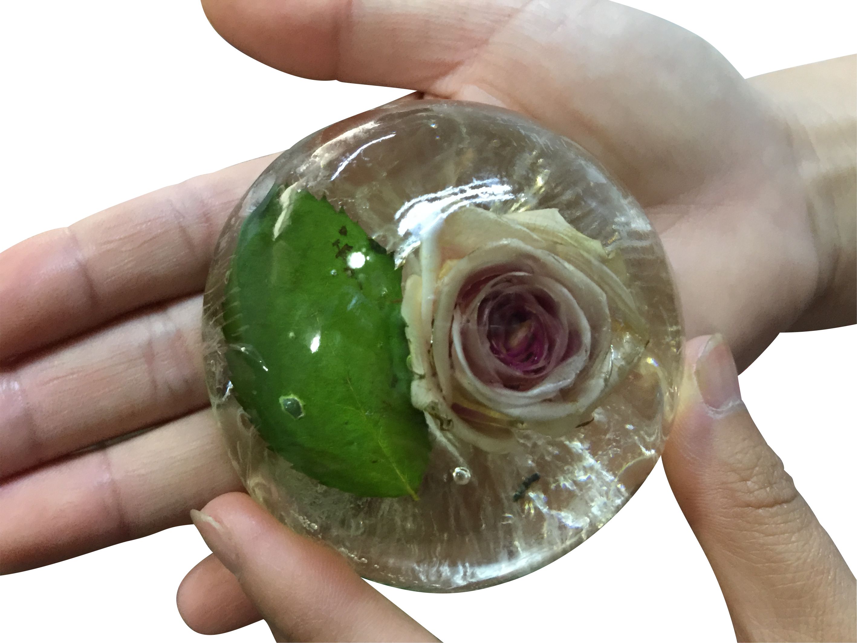 Xà bông trong suốt / Hoa hồng