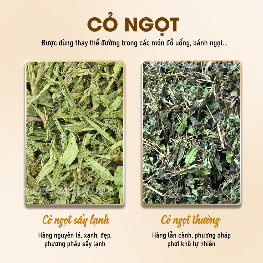 Cỏ ngọt sấy lạnh 500g (Trà cỏ ngọt hữu cơ, nguyên lá, hỗ trợ ăn kiêng)
