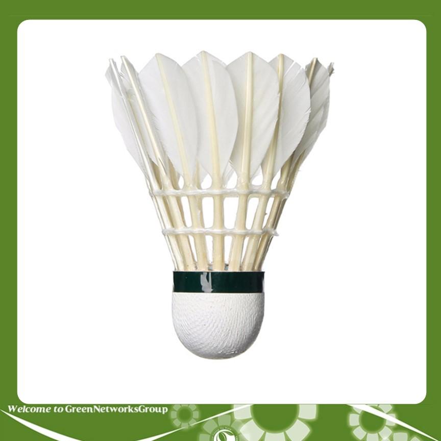 Cầu lông Hải Yến đỏ ( 6 Trái ) Greennetworks