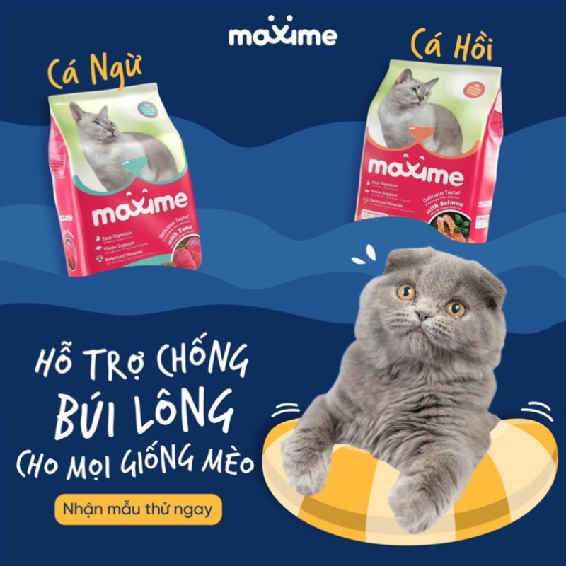 Thức Ăn Hạt Cho Mèo Maxime Cho Mèo Mọi Lứa Tuổi - Yan Pet