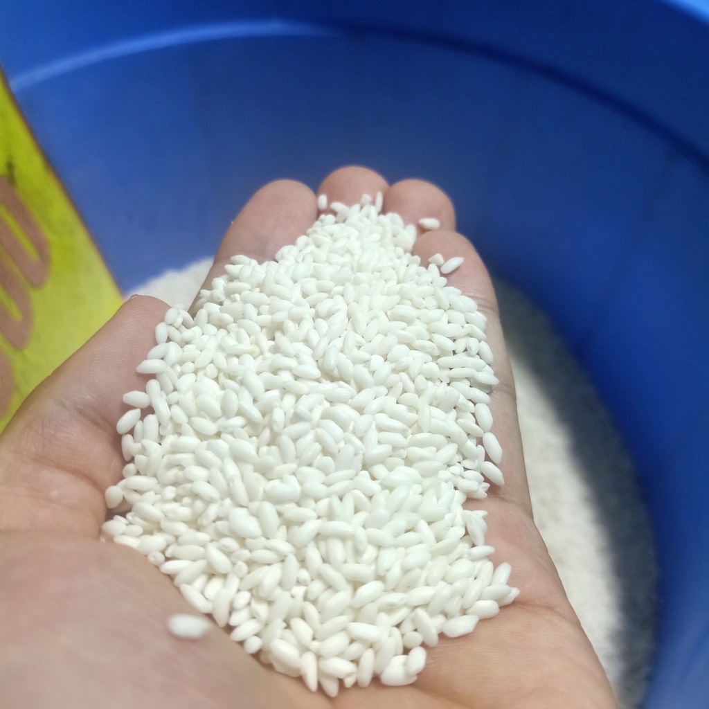 [HCM]Nếp bắc ( Nếp hoa mai v&agraveng) dẻo mềm thơm ngon 1kg