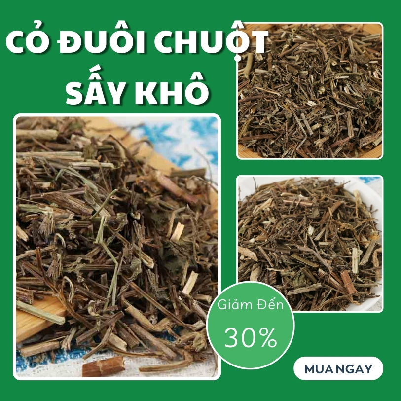 [Hàng mới về] Cỏ đuôi chuột khô 1kg - Thảo Dược Tấn Phát - Chuyên dùng để pha trà hỗ trợ an thần cực kỳ hiệu quả