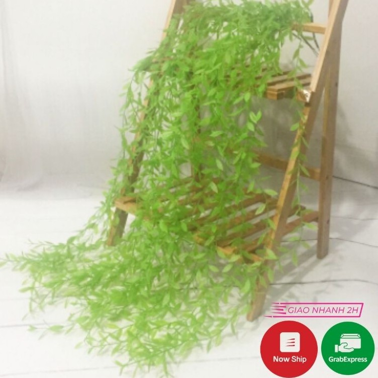 Dây Lá Trúc Non - Cúc Tần Ấn Độ, Dây Leo Cành Lá Giả Treo Tường Cao Cấp Trang Trí Nhà Cửa, Sân Vườn Lizflower