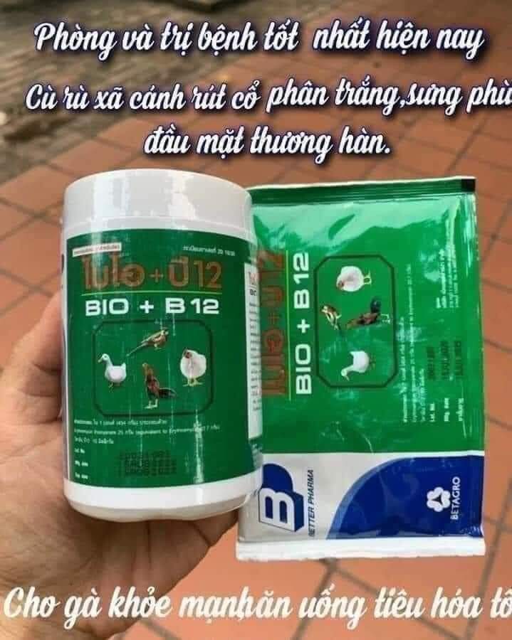 Úm Gà Con , Vịt con  - Phòng Dịch Bệnh
