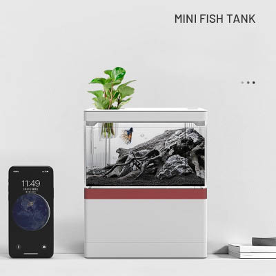 Bể cá thủy sinh mini trang trí bàn làm việc