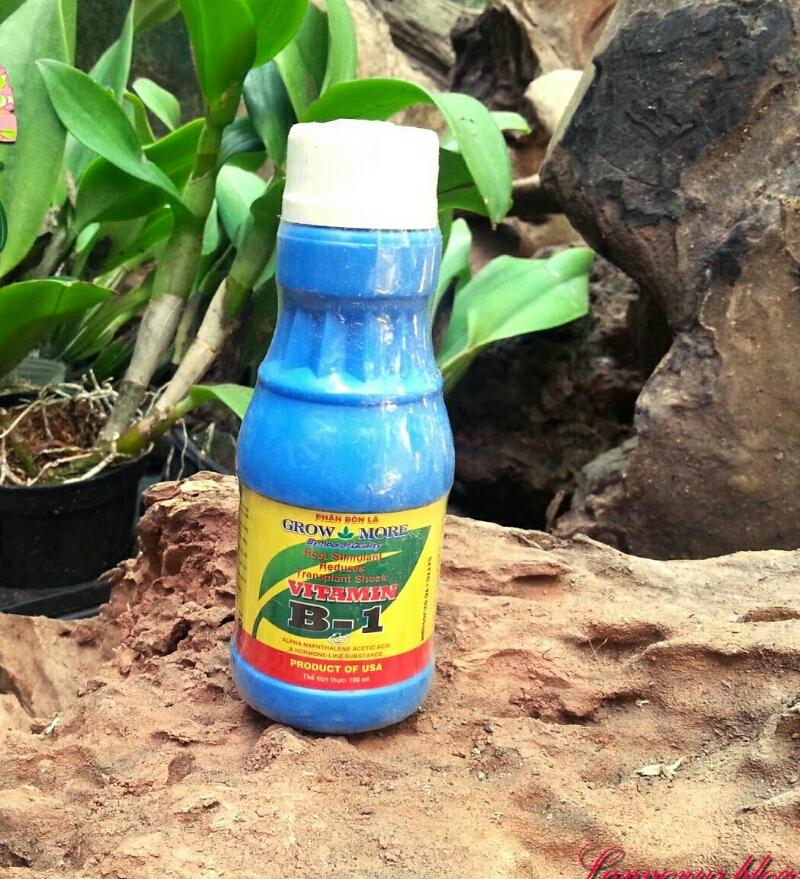 Vitamin B1 Growmore cho Lan, Kiểng chai 100ml