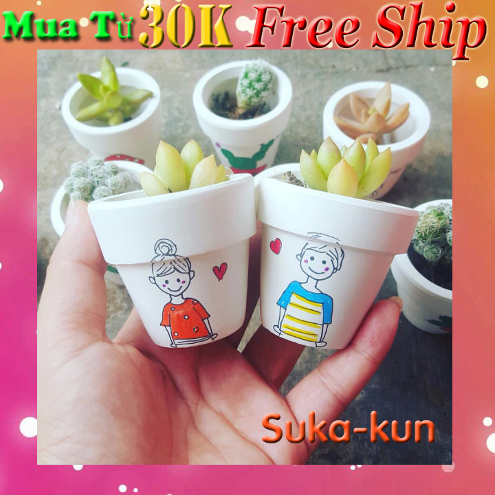 Combo 02 chậu sen đá mini đôi trai gái
