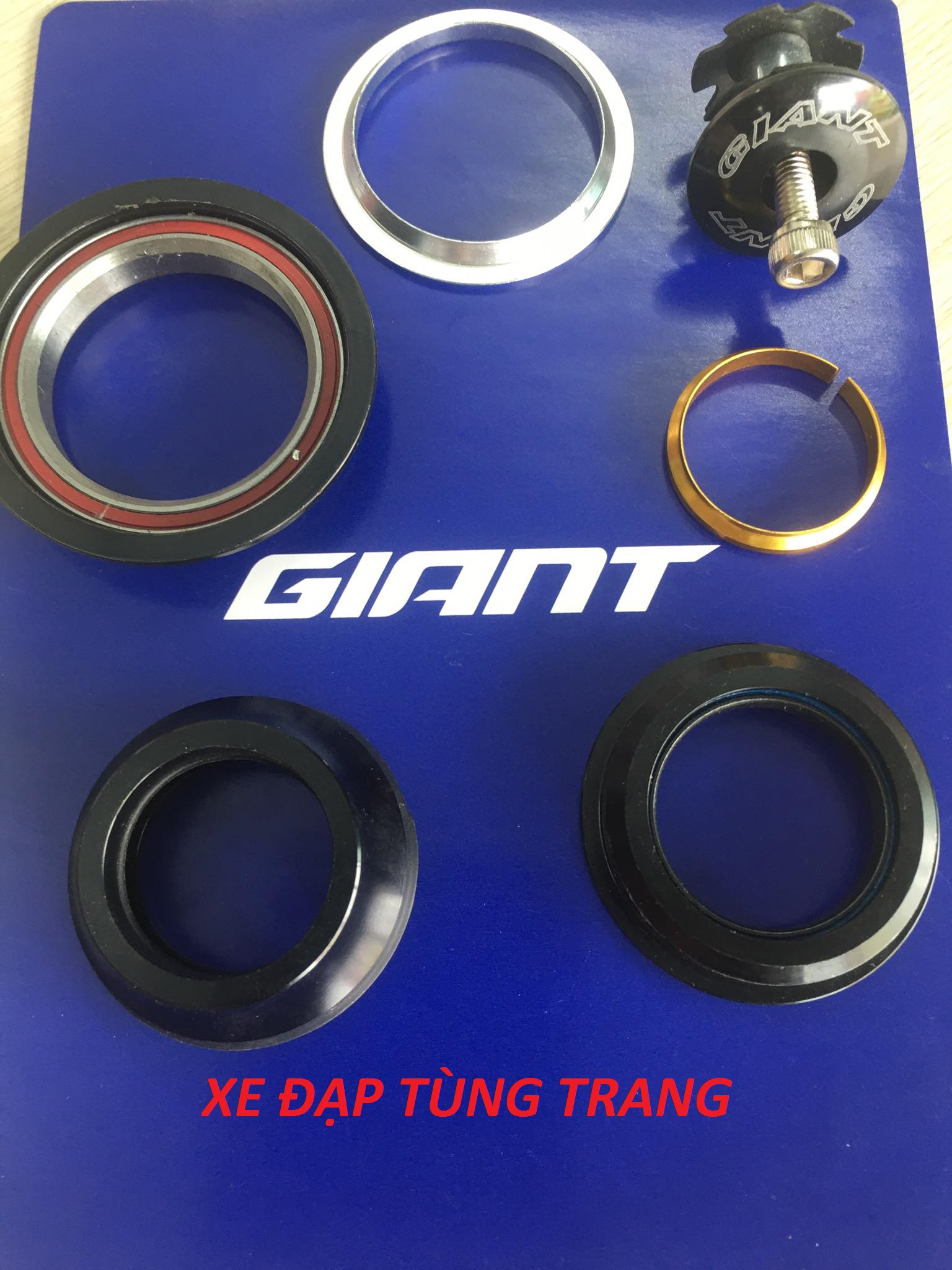 Bát chén xe đạp cổ thả Bạc Đạn GIANT 44mm/55mm .