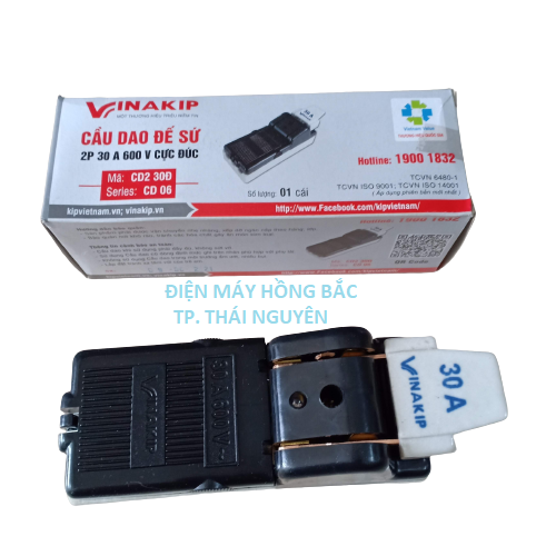 Cầu dao điện đế sứ đúc 2p 30a 600v -vinakip