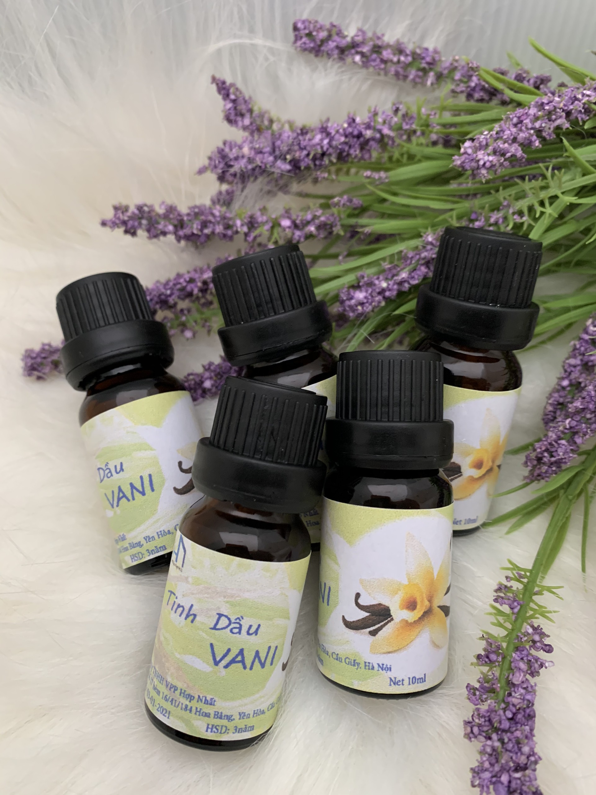 Tinh Dầu Thơm Hương Vani Lọ 10ml