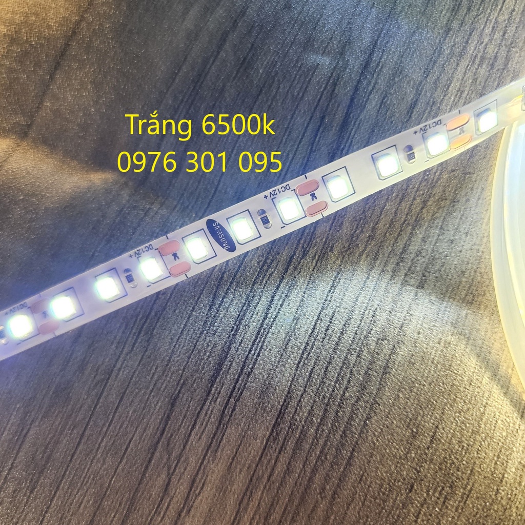 Đèn Led Dây 5m 12v, 2835 120 led (Trắng - Vàng - Vàng Nắng 4000k)