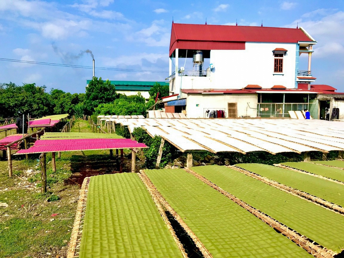 Mỳ chũ củ quả