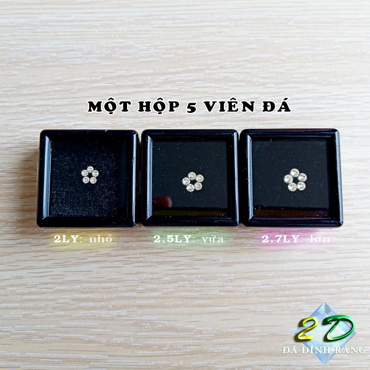 [HCM]Combo 5 viên đá đính răng + keo dán