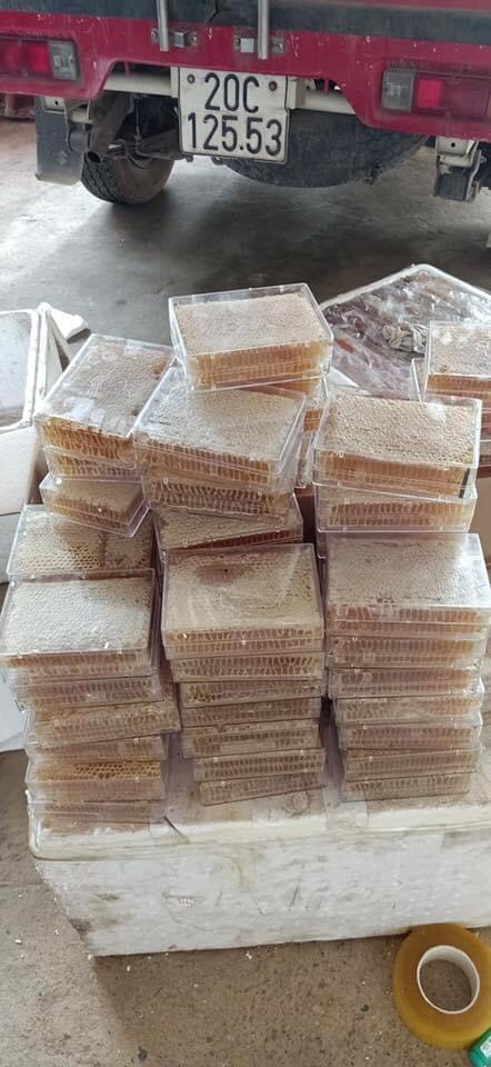 Mật Ong Hoa Rừng Nguyên Chất 100gr