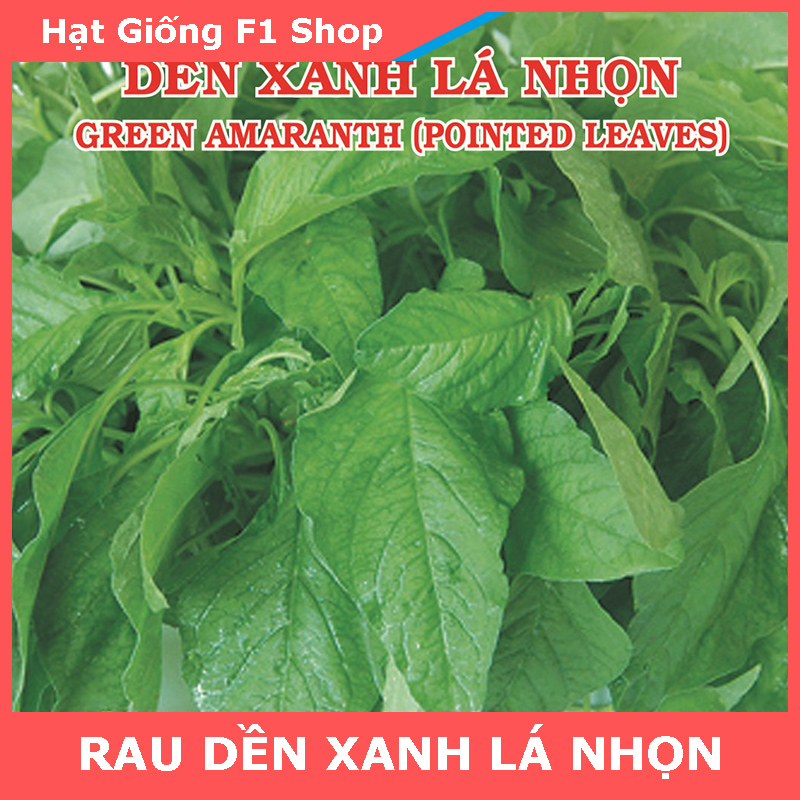Hạt Giống Rau Dền Xanh Lá Nhọn (Lá Liễu)