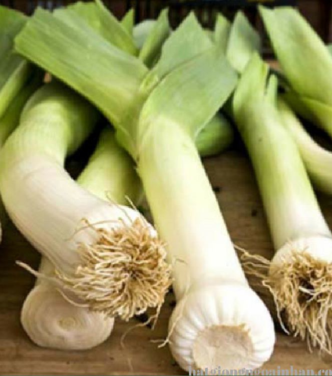 Hạt giống tỏi tây (BARO HÀNH) - Gói 1gram