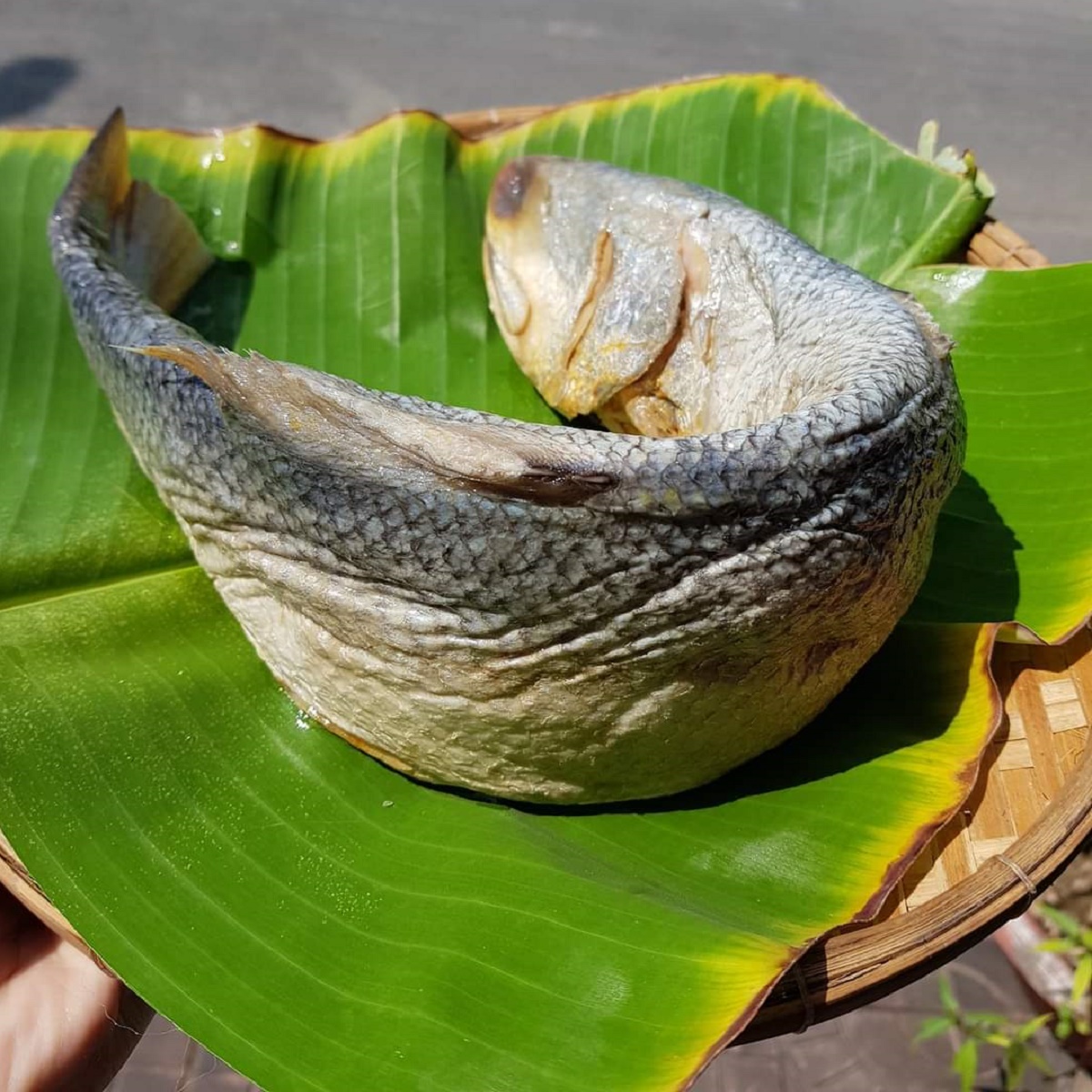 KHÔ CÁ CHÉT HƯƠNG CHƯNG VỚI THỊT BA RỌI NGON TUYỆT- Vựa Khô Nam Thiên