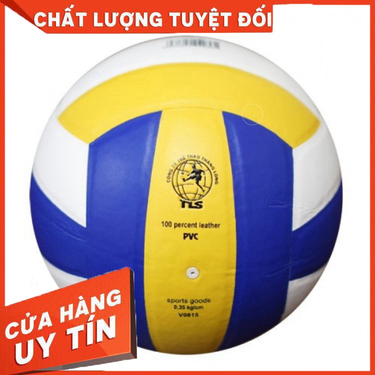 Quả bóng chuyền Động Lực DTS001