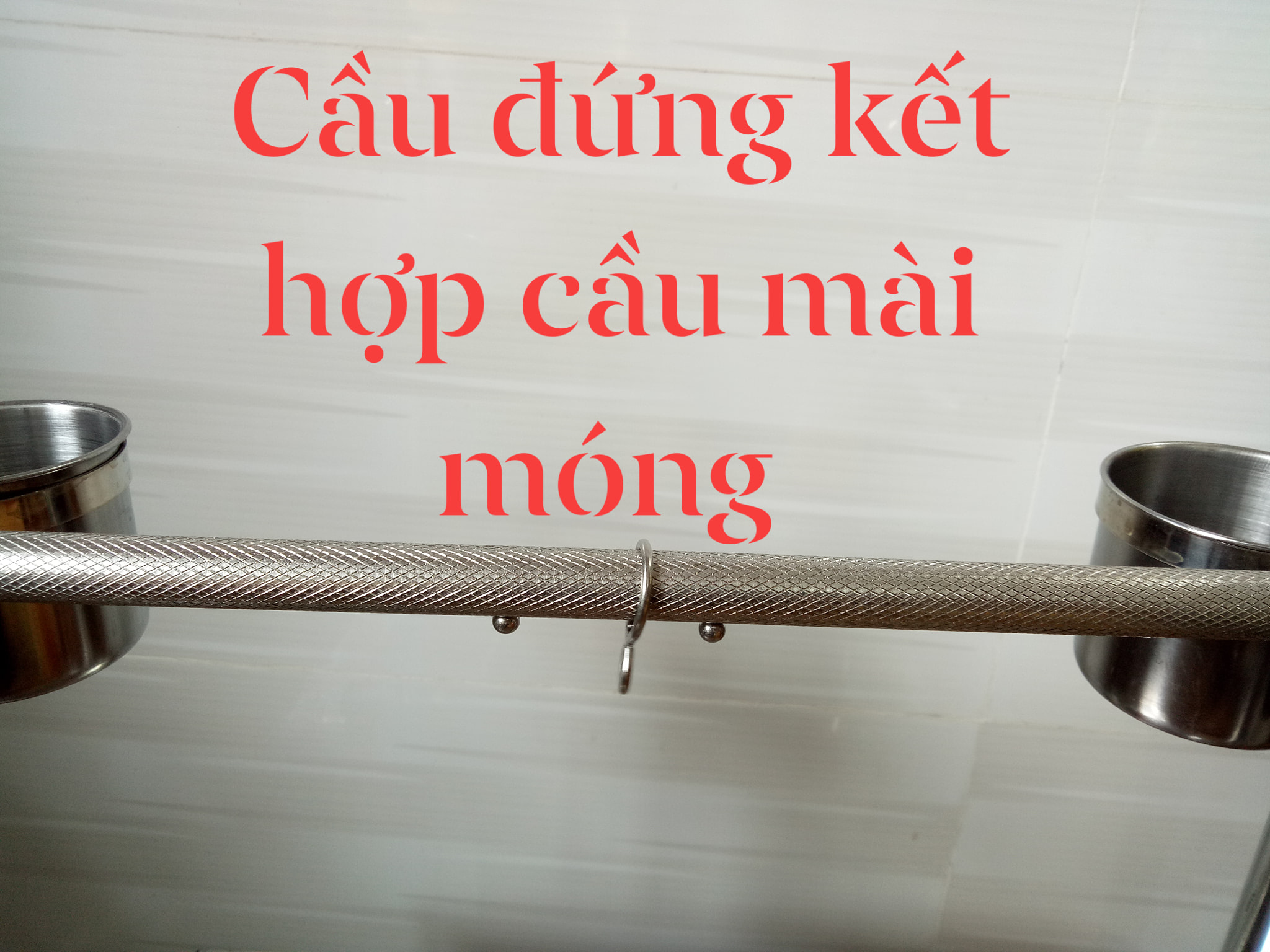 CẦU ĐỨNG CAO CẤP NHẬP KHẨU CHO MỌI DÒNG VẸT (CÓ 3 SIZE)