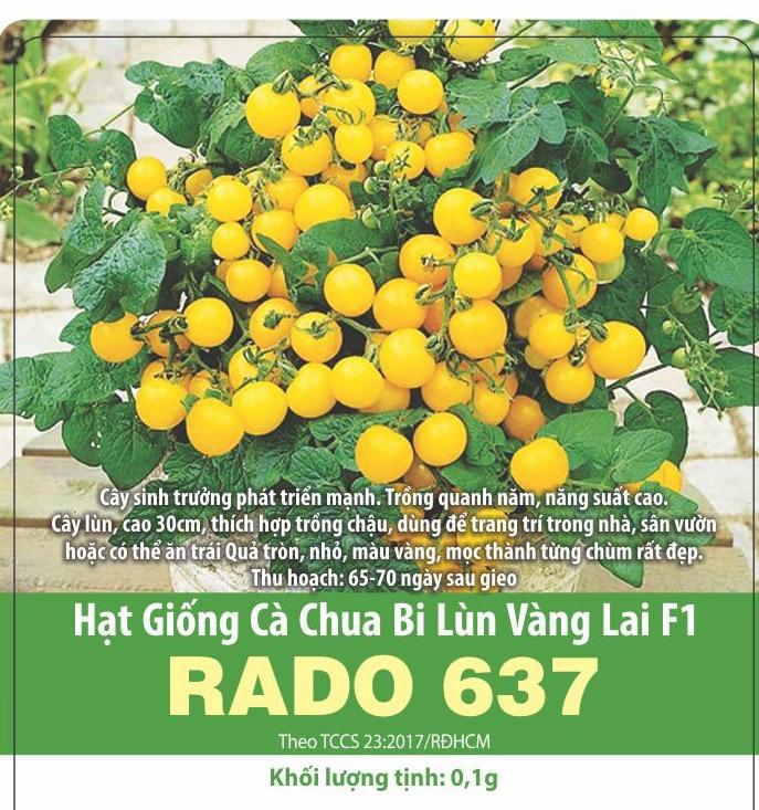Hạt Giống Cà Chua Bi Lùn Vàng Sai Trái (0.1gr)